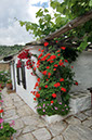 215-schöne Bilder Jutta - Haus mit roten Rosen